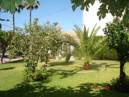 Grand jardin avec des sièges, pelouse et plantes méditerranéennes